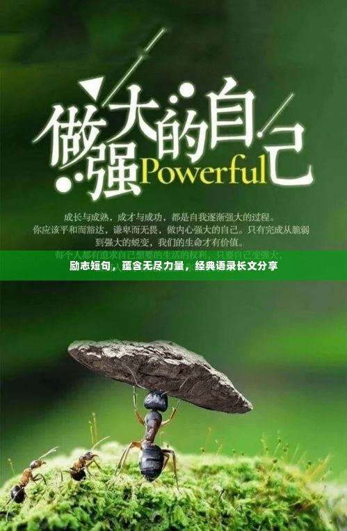 励志短句，蕴含无尽力量，经典语录长文分享