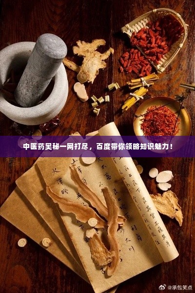 中医药奥秘一网打尽，百度带你领略知识魅力！