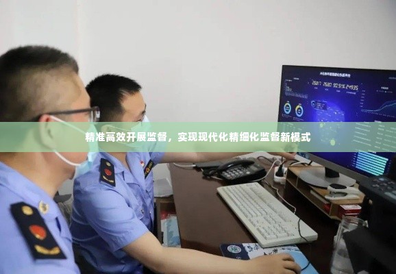 精准高效开展监督，实现现代化精细化监督新模式