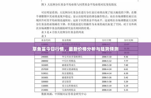 草鱼苗今日行情，最新价格分析与趋势预测