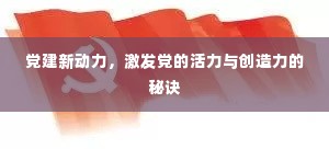 党建新动力，激发党的活力与创造力的秘诀