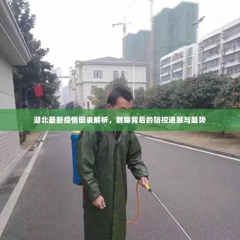 湖北最新疫情图表解析，数据背后的防控进展与趋势