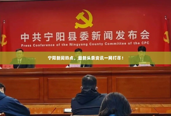 宁阳新闻热点，最新头条资讯一网打尽！