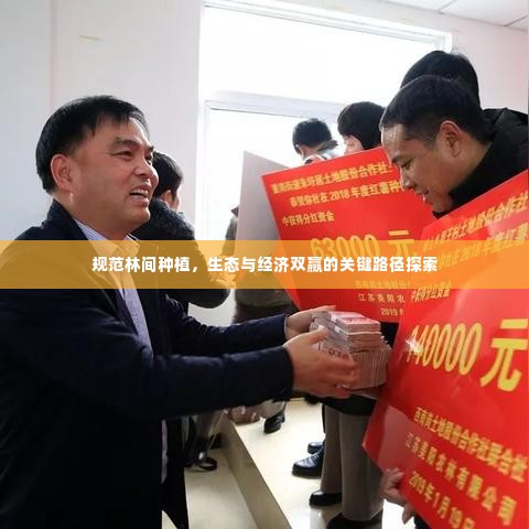 规范林间种植，生态与经济双赢的关键路径探索