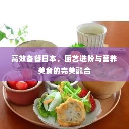 高效备餐日本，厨艺进阶与营养美食的完美融合