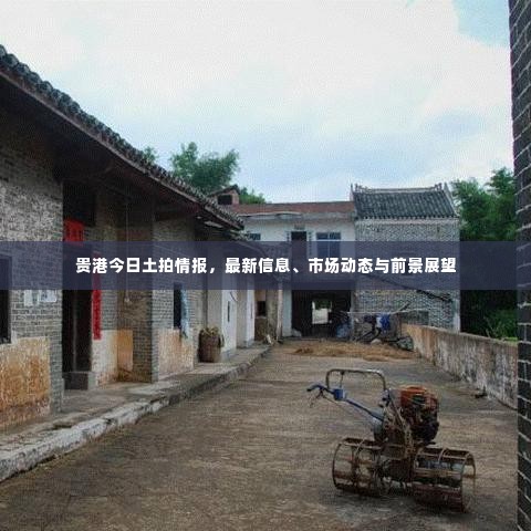 贵港今日土拍情报，最新信息、市场动态与前景展望