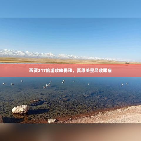 雍容典雅