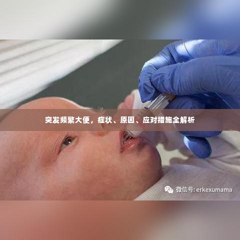 突发频繁大便，症状、原因、应对措施全解析
