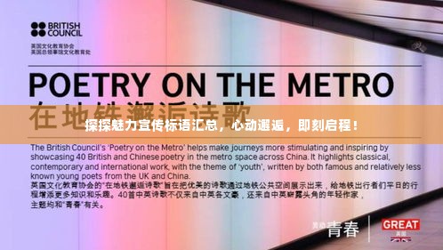 探探魅力宣传标语汇总，心动邂逅，即刻启程！