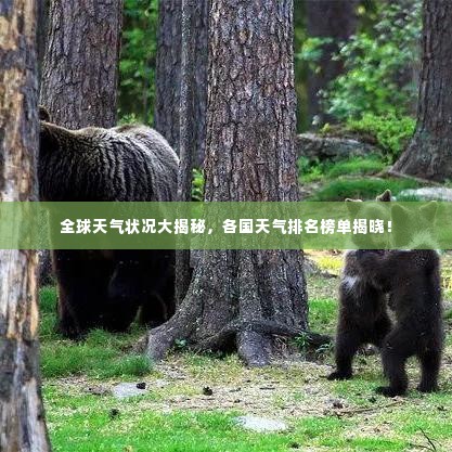 全球天气状况大揭秘，各国天气排名榜单揭晓！