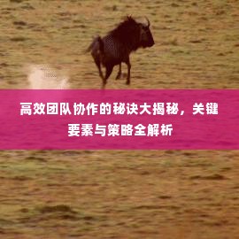 高效团队协作的秘诀大揭秘，关键要素与策略全解析