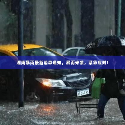 湖南暴雨最新消息通知，暴雨来袭，紧急应对！