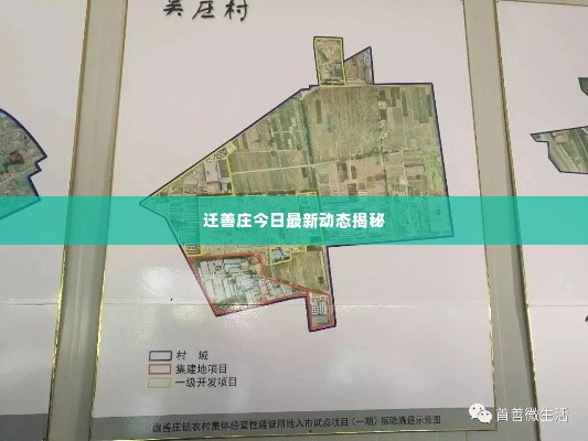 迁善庄今日最新动态揭秘