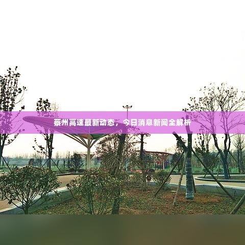蔡州高速最新动态，今日消息新闻全解析