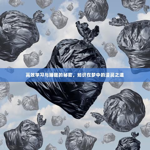 高效学习与睡眠的秘密，知识在梦中的浸润之道