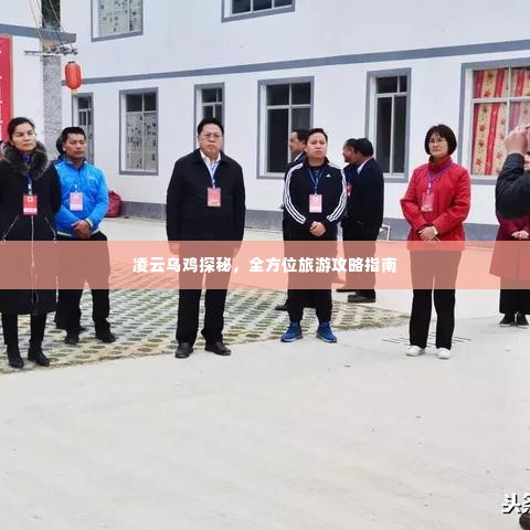 凌云乌鸡探秘，全方位旅游攻略指南