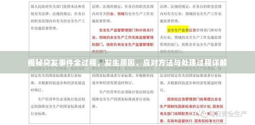 揭秘突发事件全过程，发生原因、应对方法与处理过程详解