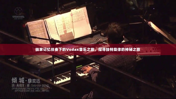 独家记忆伴奏下的Vodax音乐之旅，探寻独特旋律的神秘之旅