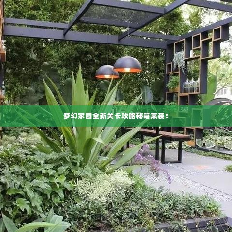 梦幻家园全新关卡攻略秘籍来袭！