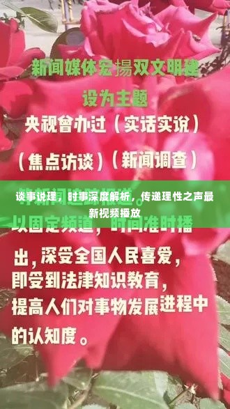 谈事说理，时事深度解析，传递理性之声最新视频播放