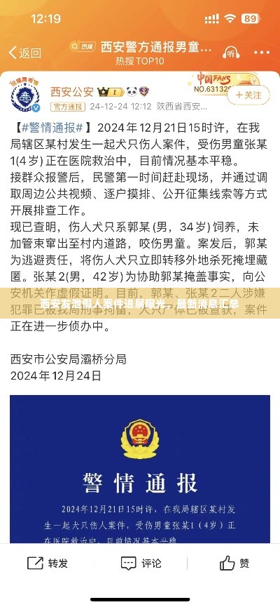 西安发泄假人案件进展曝光，最新消息汇总