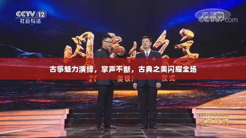 古筝魅力演绎，掌声不断，古典之美闪耀全场