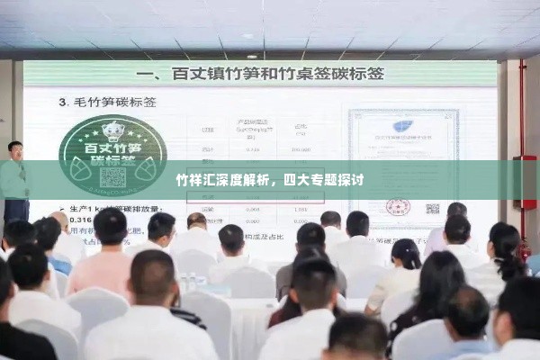 竹祥汇深度解析，四大专题探讨
