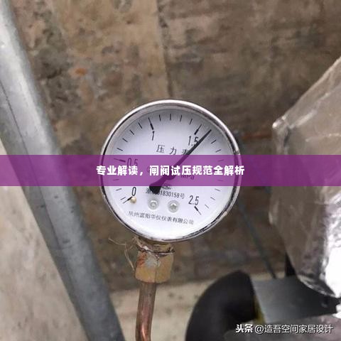 专业解读，闸阀试压规范全解析
