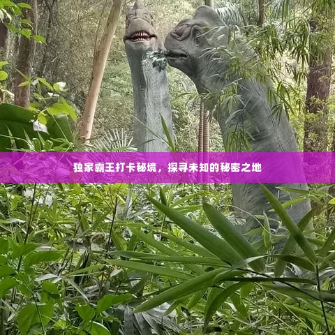 独家霸王打卡秘境，探寻未知的秘密之地