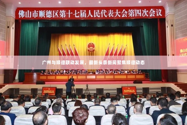 广州与顺德联动发展，最新头条新闻聚焦顺德动态