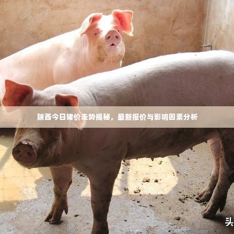 陕西今日猪价走势揭秘，最新报价与影响因素分析