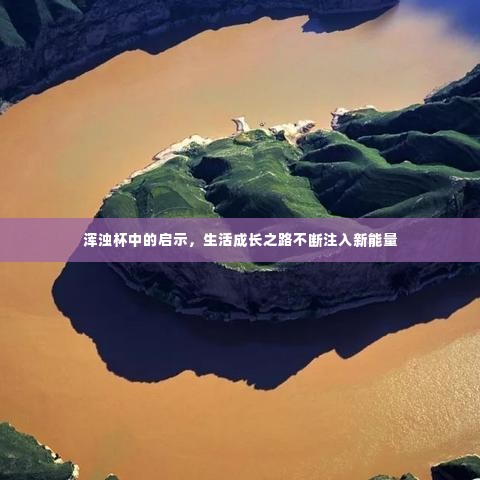 浑浊杯中的启示，生活成长之路不断注入新能量
