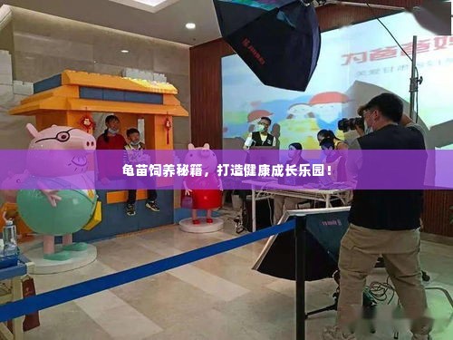 飞扬拨扈