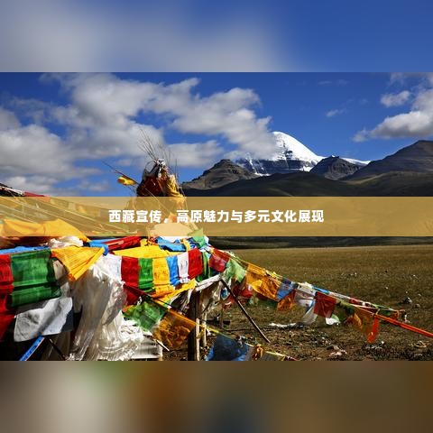 西藏宣传，高原魅力与多元文化展现