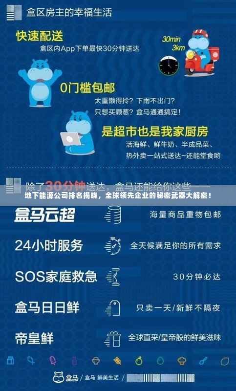 地下能源公司排名揭晓，全球领先企业的秘密武器大解密！
