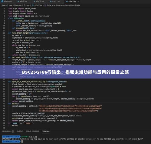 BSC25GF86行输出，揭秘未知功能与应用的探索之旅