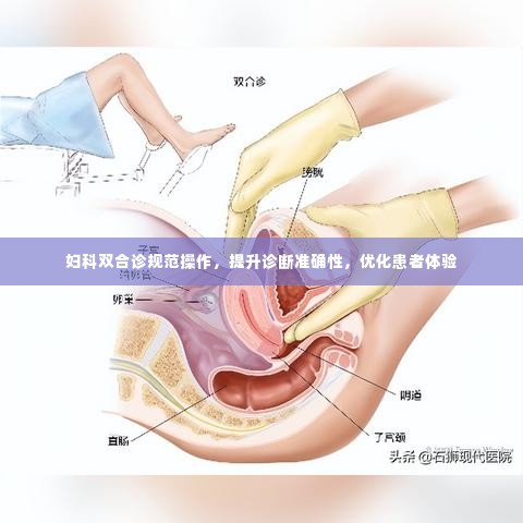 妇科双合诊规范操作，提升诊断准确性，优化患者体验
