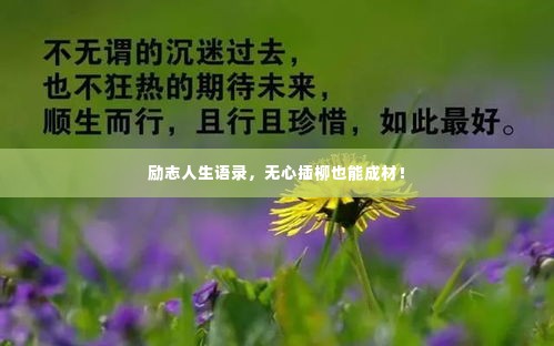 励志人生语录，无心插柳也能成材！