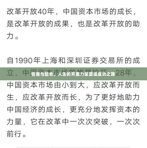 情商与励志，人生的双重力量塑造成功之路