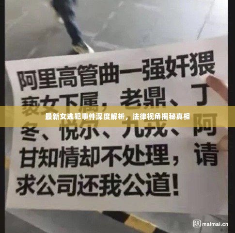 最新女逃犯事件深度解析，法律视角揭秘真相