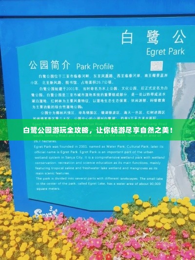 白鹭公园游玩全攻略，让你畅游尽享自然之美！