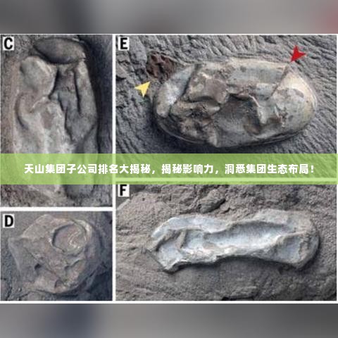 不求甚解