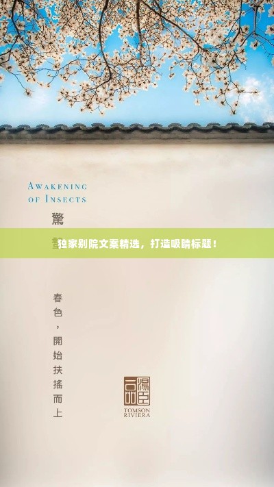 落落大方