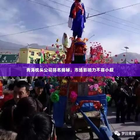 青海枕头公司排名揭秘，市场影响力不容小觑