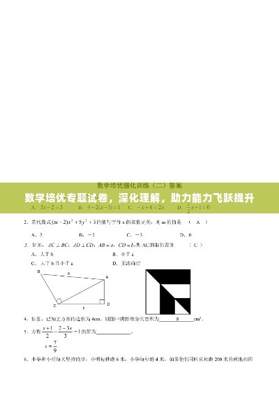 数学培优专题试卷，深化理解，助力能力飞跃提升