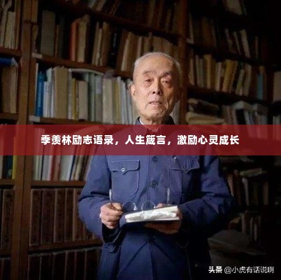 粗制滥造
