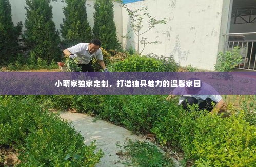 小萌家独家定制，打造独具魅力的温馨家园