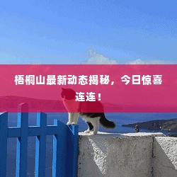 梧桐山最新动态揭秘，今日惊喜连连！