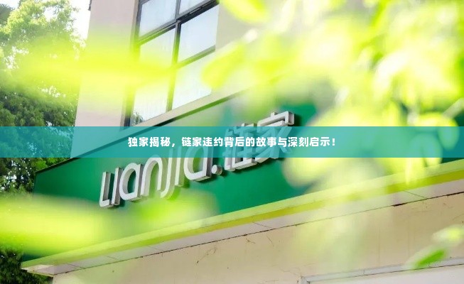 独家揭秘，链家违约背后的故事与深刻启示！