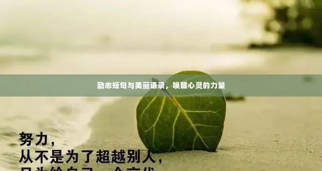 励志短句与美丽语录，唤醒心灵的力量
